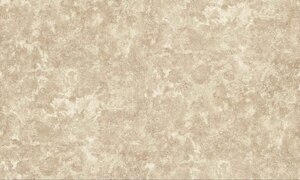 Обои флизелиновые СТАТУС 406st01 (1,06х10,05м)