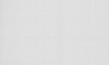 Обои Браво 81118BR03 виниловые на флизелиновой основе (1,06х10,05)